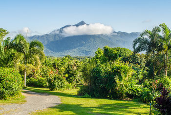 Bed & Breakfast Epiphyte B & B