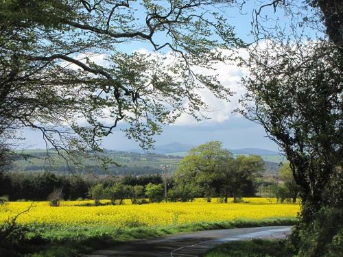 Moneylands Farm B&B & Self-catering