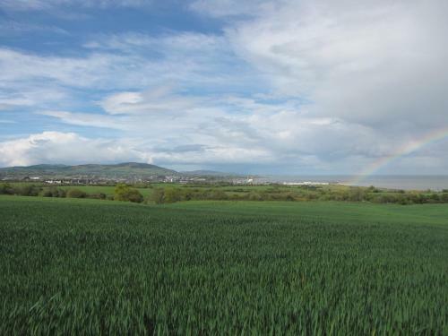 Moneylands Farm B&B & Self-catering