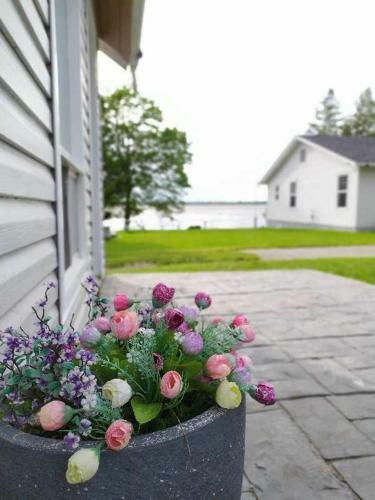 Lunge Haven Cottages & Boating Club