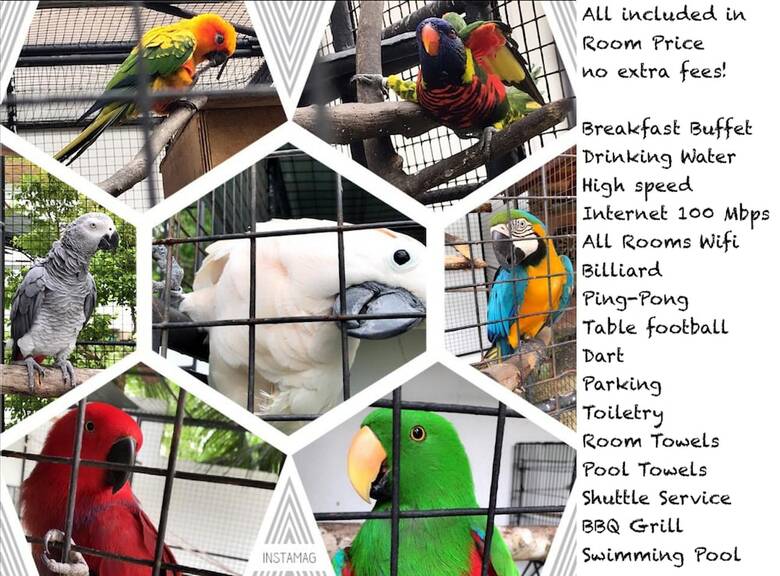 Hotel Parrot Resort Moalboal