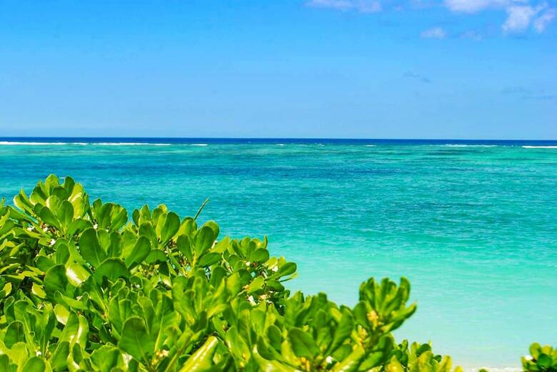Apartamentos Cap Ouest By Dream Escapes