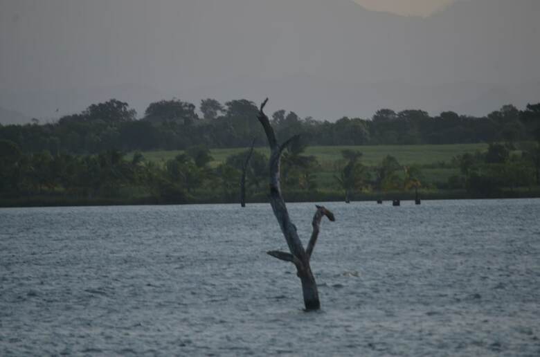 Makulu Safari Camping