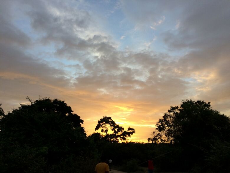 Hotel Wilderness Camping Yala