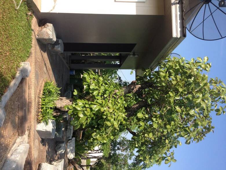 Hotel Green Garden Resort
