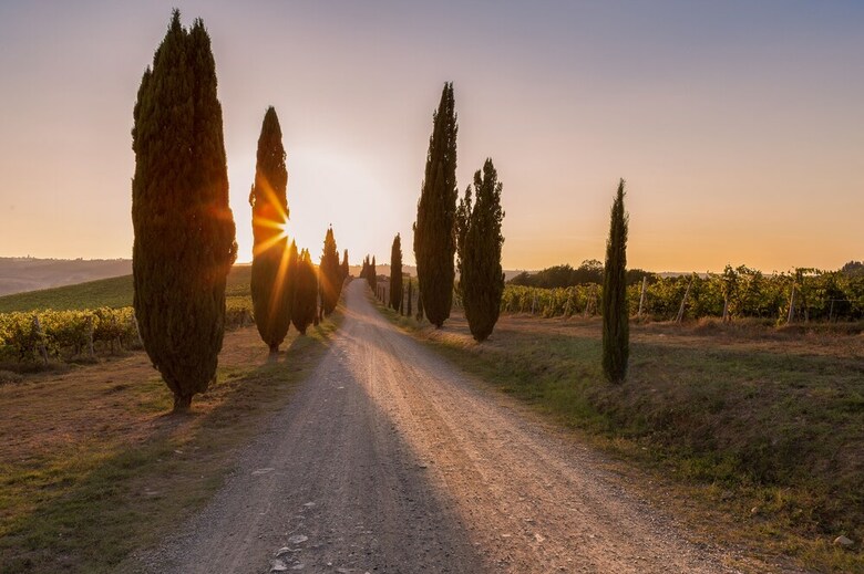 Apartamento Fattoria Pratale