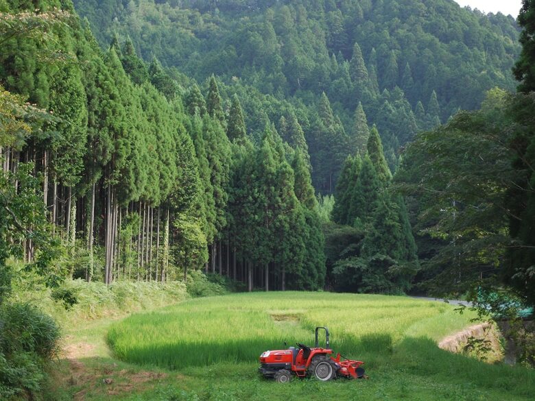 Banja