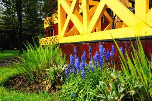 Lodge Hotel Y Caba�as Patagonia Green