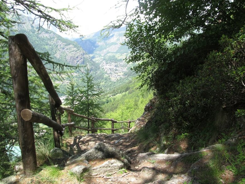 Apartamento Cervino Valley House Rododendro