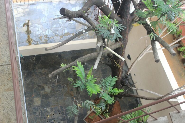 Hotel Atelier Kandy