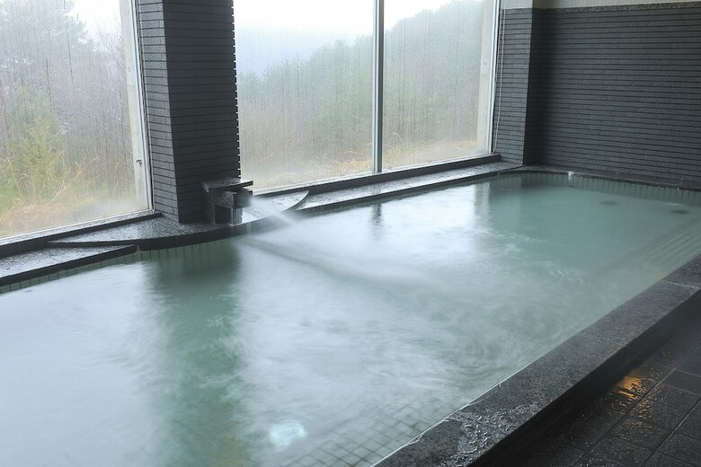 Hotel Terrace Resort Asago
