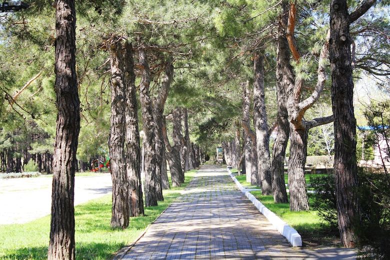 Hotel Orchestra Horizont Gelendzhik Resort - All Inclusive