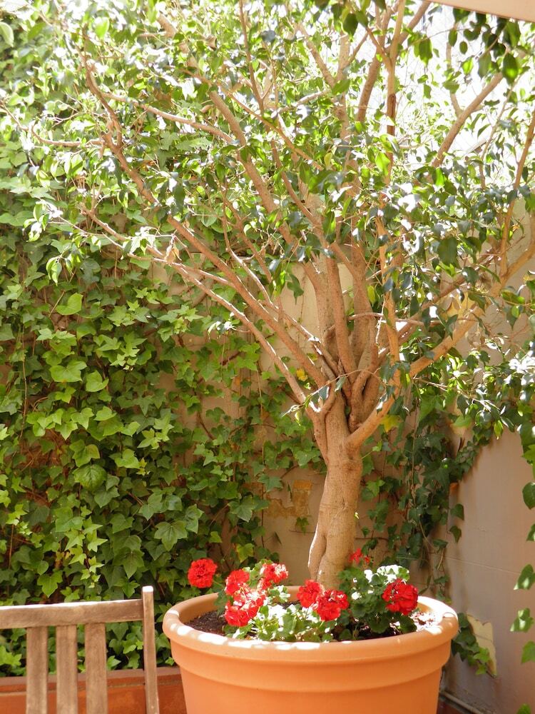Apartamentos Suitur Courtyard House