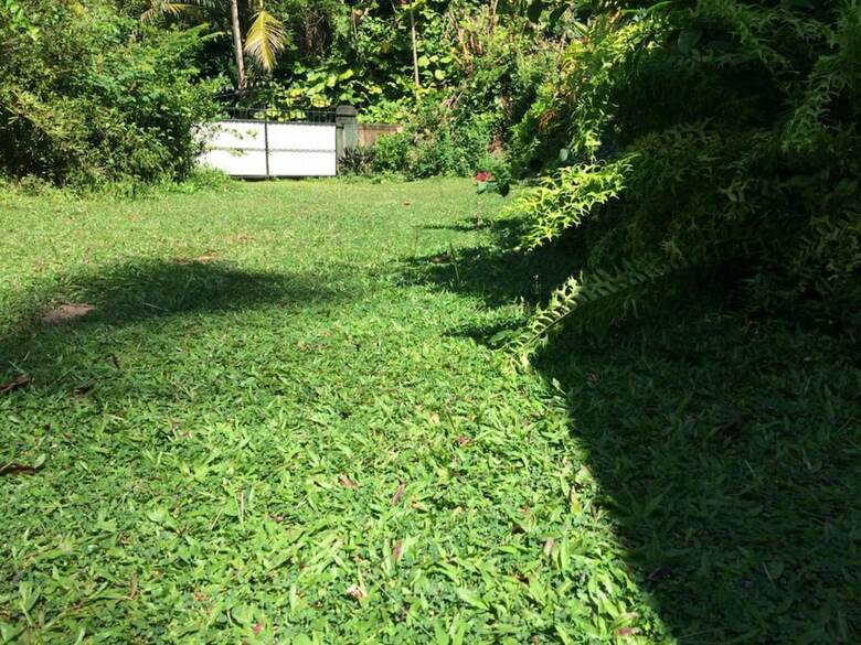 Hotel Weeragiri Homestay