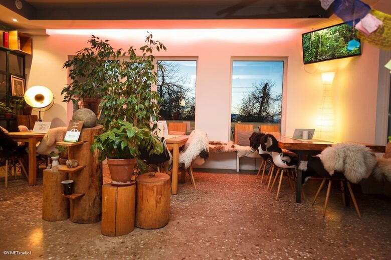 Posada Pyramid Lodge