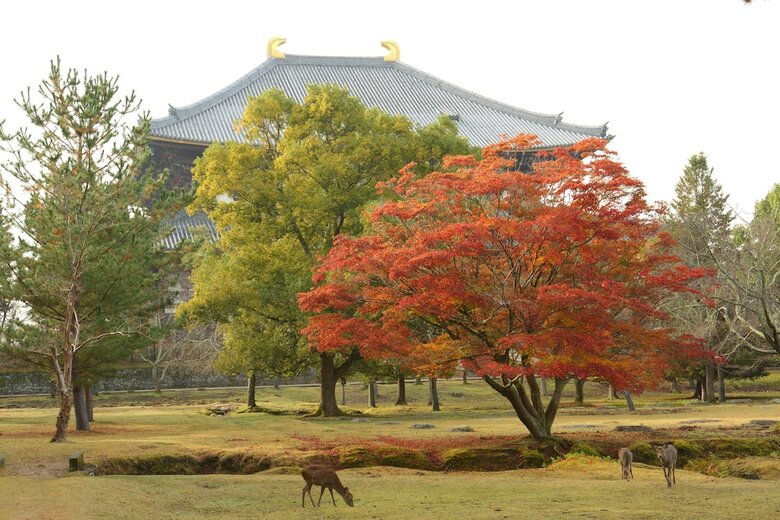 Noborioji Hotel Nara