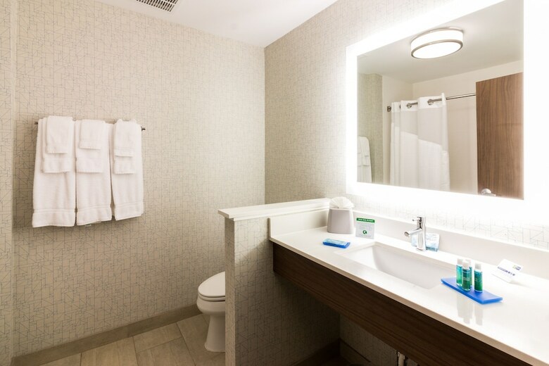 Hotel Holiday Inn Express Villa Rica