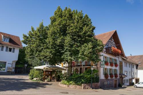Hostal Landgasthaus Zur Linde