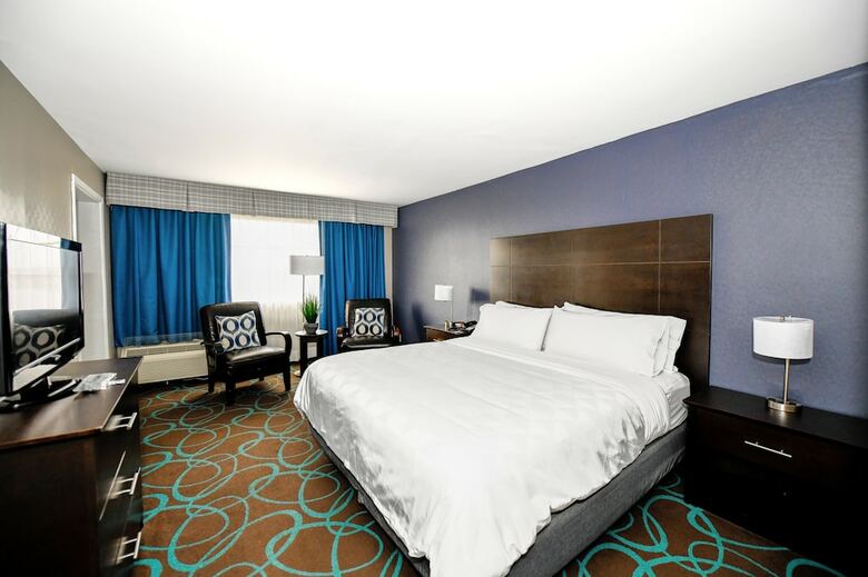 Hotel Holiday Inn Niagara Falls Scenic Downtown