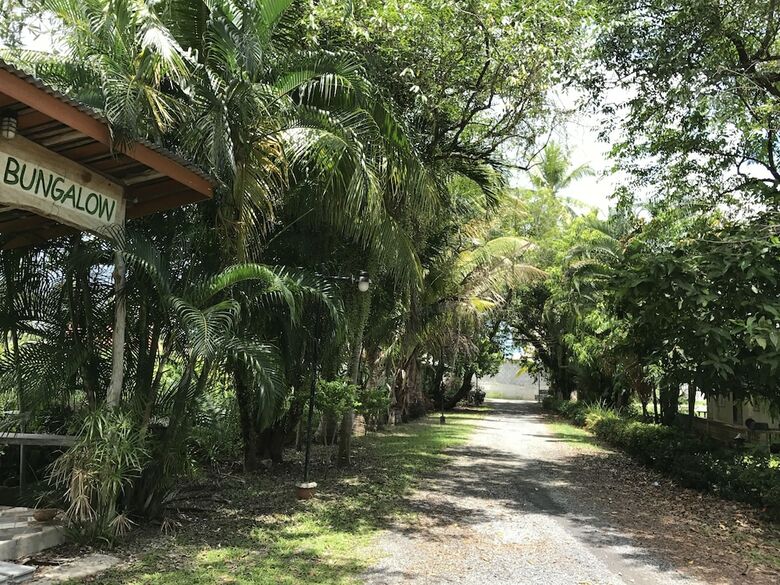 Villa Coconut Bungalow