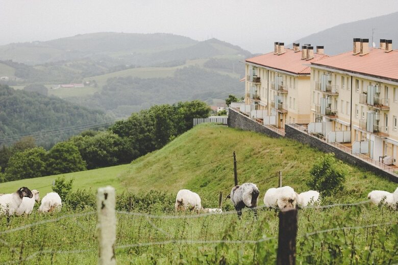 Hostal San Sebastian Surf Camp