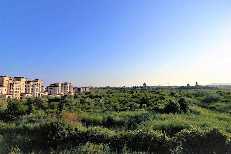 Baratero Mar Nero Apartments