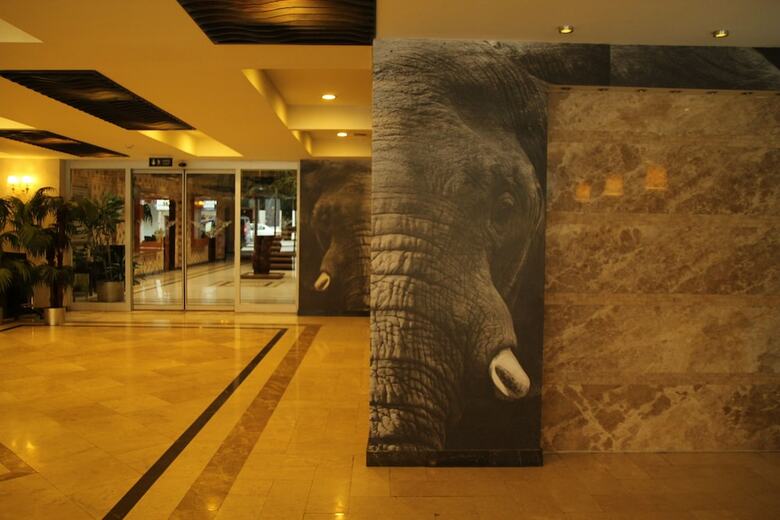 Arya Hotel Business Deluxe