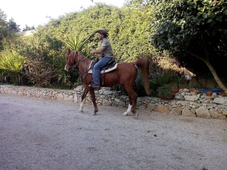 Bed & Breakfast Casato Calabrese