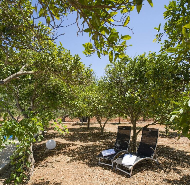 Villa Can Cama