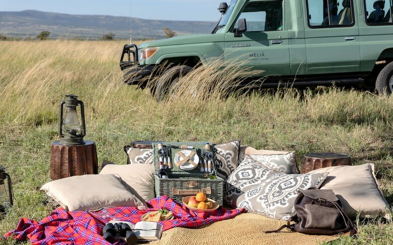 Hotel Melia Serengeti Lodge