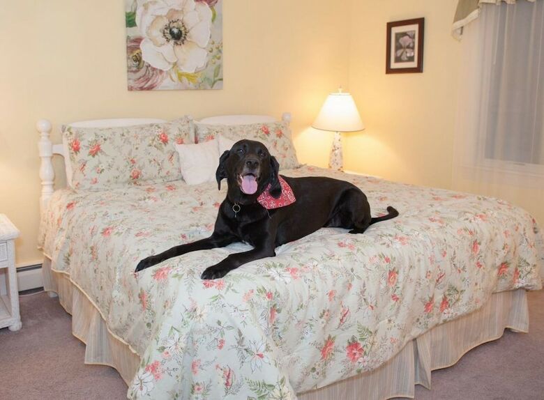 Cranberry Manor Bed And Breakfast Cape Cod