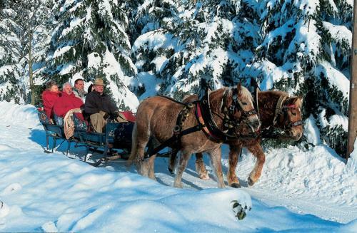 Hotel Gasthof Reiner