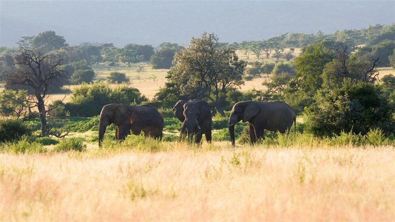 Posada Nungubane Game Lodge