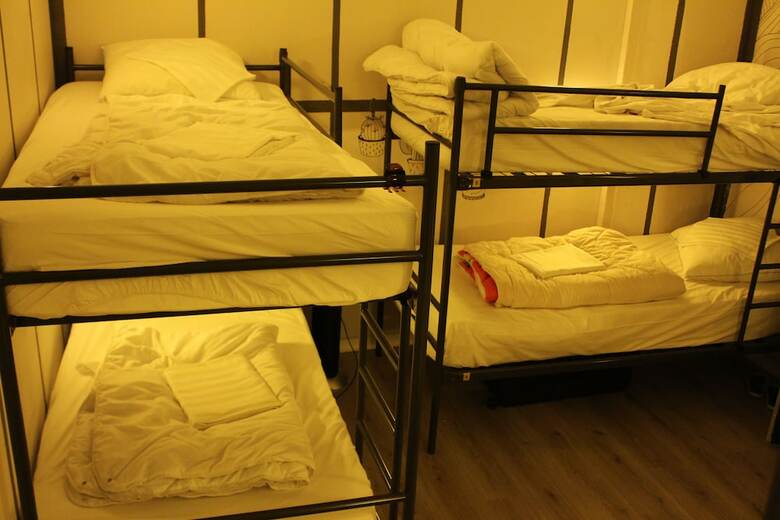 Hostal The Golden Stork - Hostel