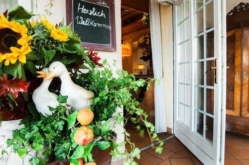 Landgasthof & Hotel Jagdhof