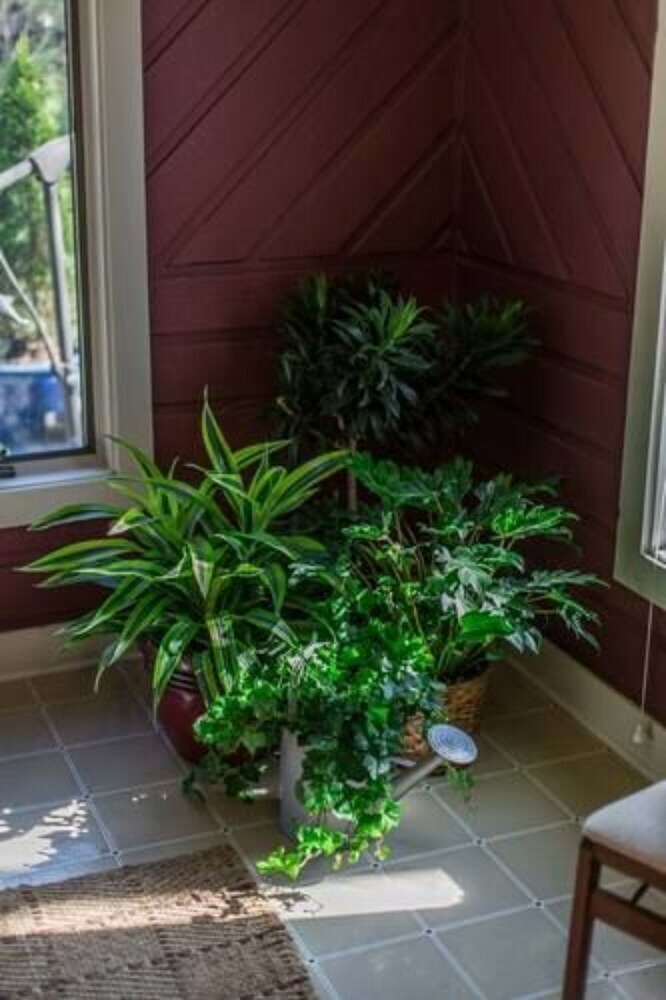 Garden Oasis Steps From Downtown