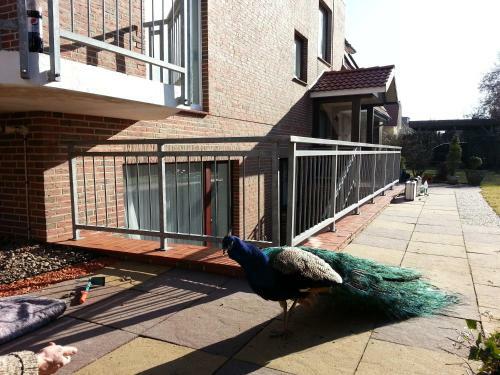 Apartamento Strandhaus Am Kurpark