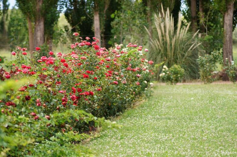 Complejo R�o Los Patos - Caba�as Y Hostel