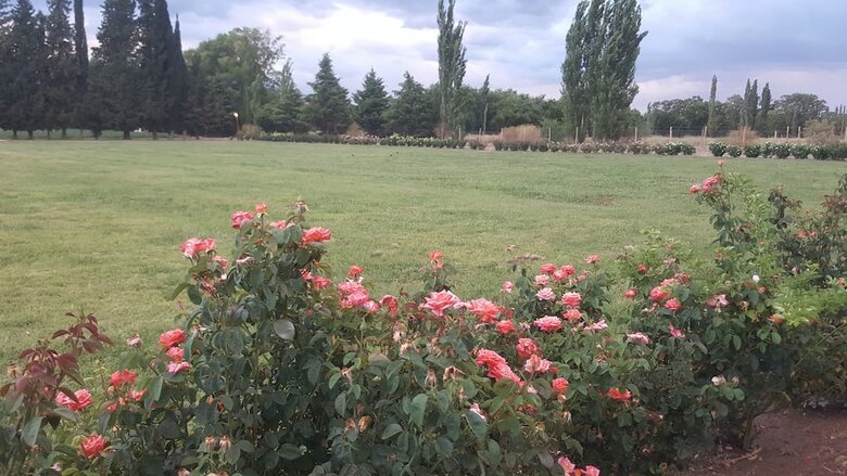Complejo R�o Los Patos - Caba�as Y Hostel