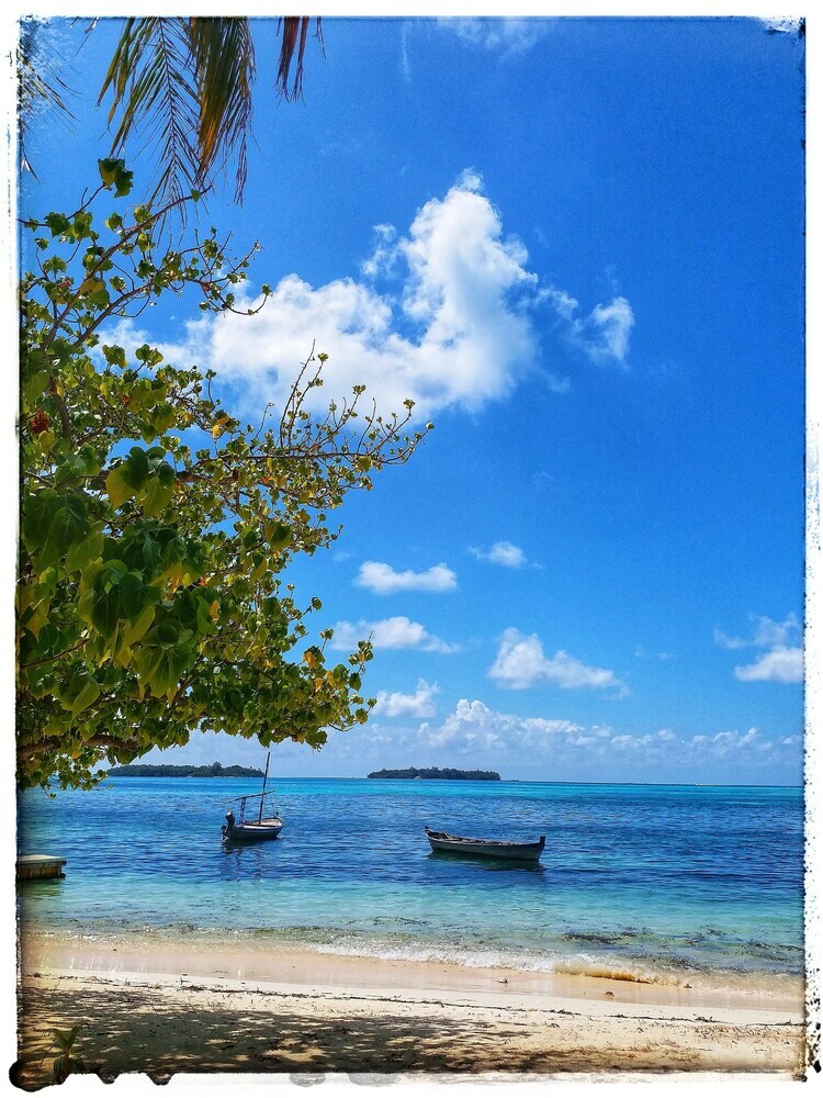 Hotel Medhufaru Inn