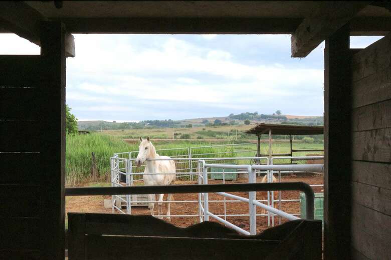 Agroturismo Agriturismo Gli Etruschi