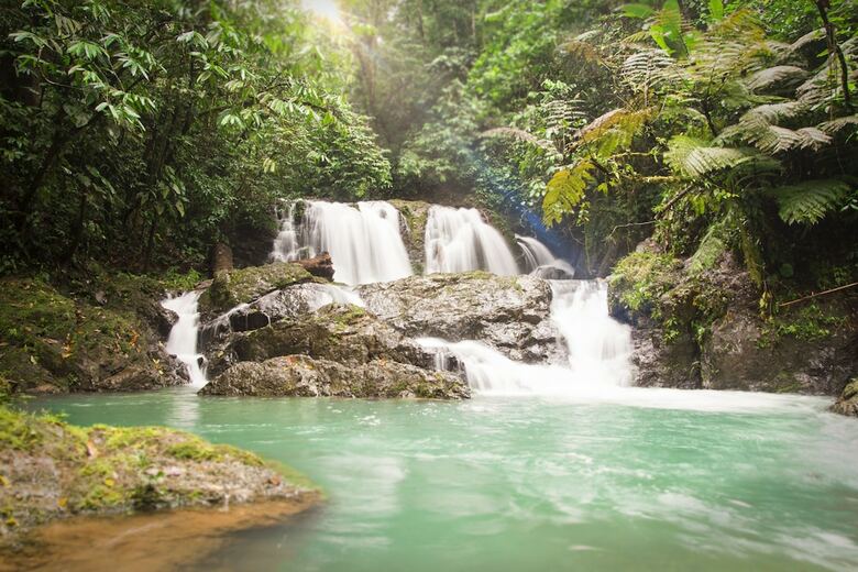 Posada Naguala Jungle Lodge