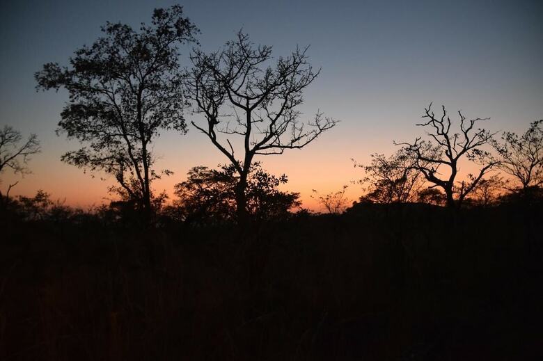 Tented Adventures Pretoriuskop Rest Camp