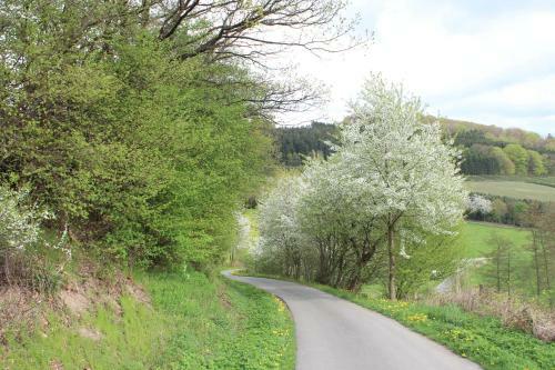 Apartamento Ferienwohnung Moos-hochsauerland