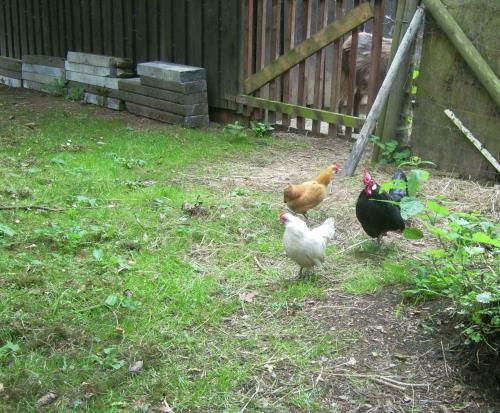Agroturismo Farm Stay Heidehof