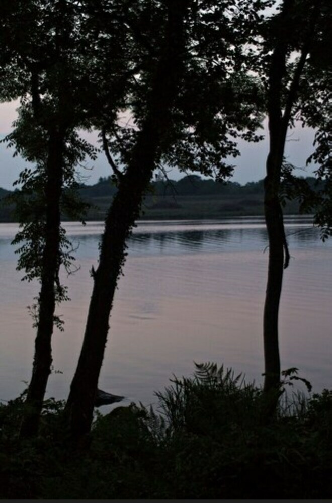 Apartamento Lusty Beg Island