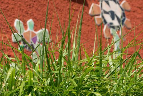Ferien Apartments K�hlungsborn