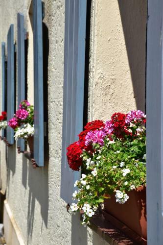 Hostal Landhaus Folk