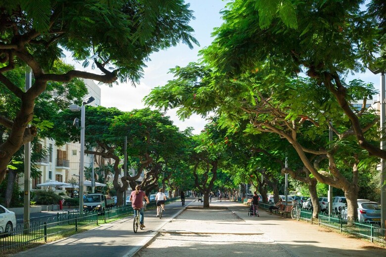 Apartamento Ctlv - Sheinkin 30