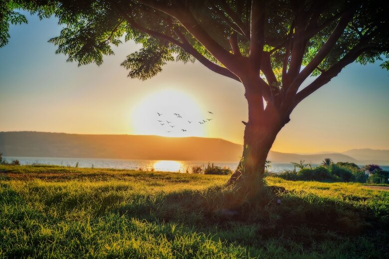 Hotel Daria - Authentic Israel Experience